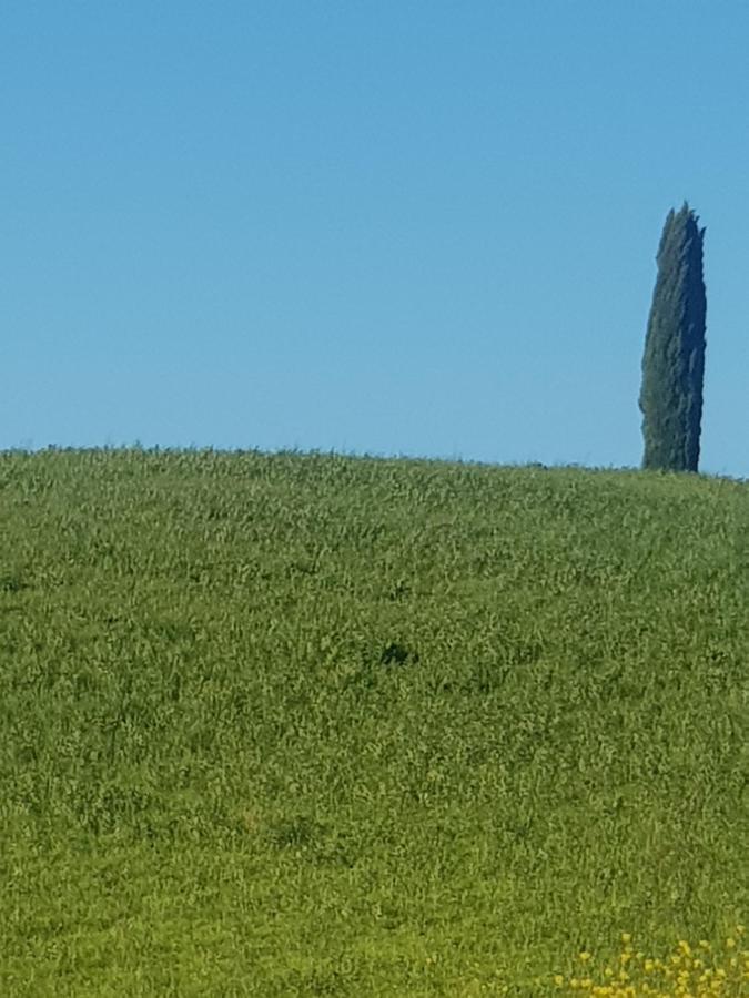 Dimora In San Quirico D'Orcia Apartamento Exterior foto